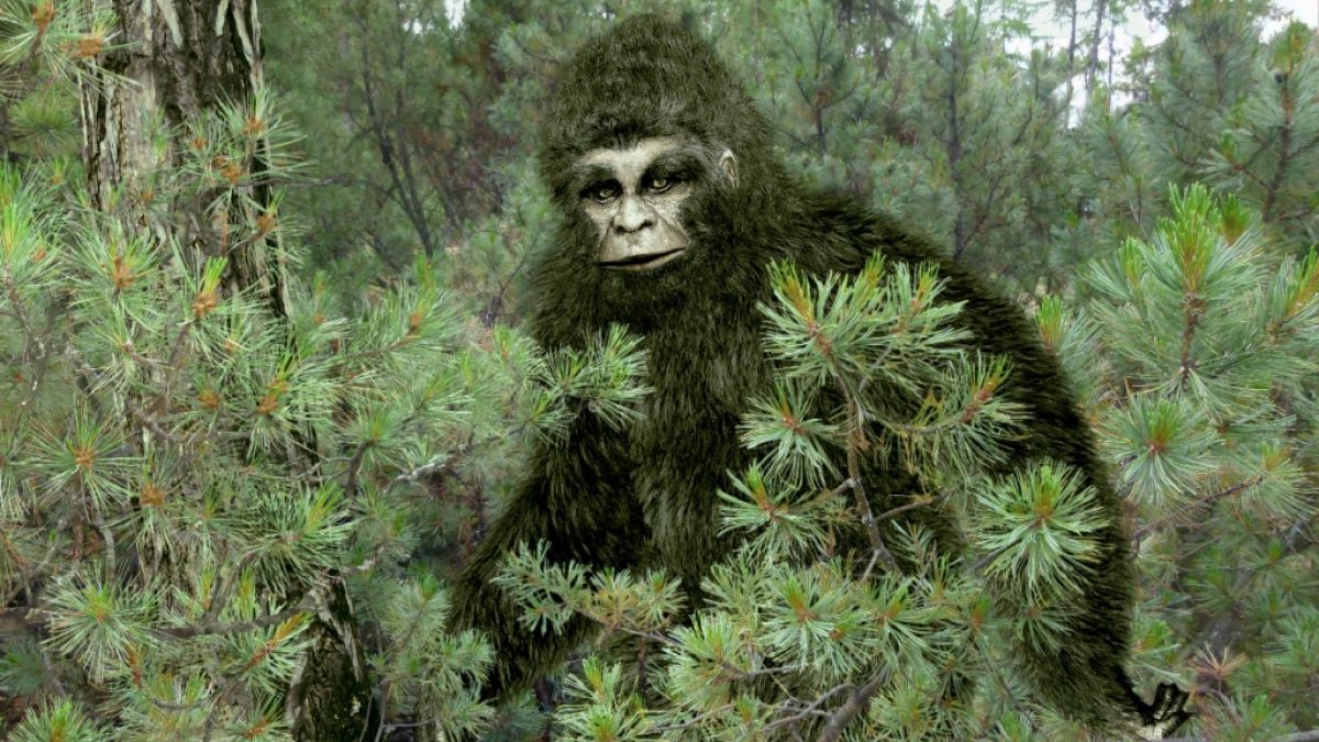 Der Kryptozoologe Andy McGarth ist überzeugt davon, dass Bigfoot in den Wäldern Europas lebt. (Foto)