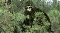 Der Kryptozoologe Andy McGarth ist überzeugt davon, dass Bigfoot in den Wäldern Europas lebt.