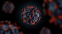 Britische Forscher haben eine neue Coronavirus-Mutation entdeckt.