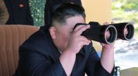 Kim Jong-un hat den Tauben in Nordkorea den Krieg erklärt.