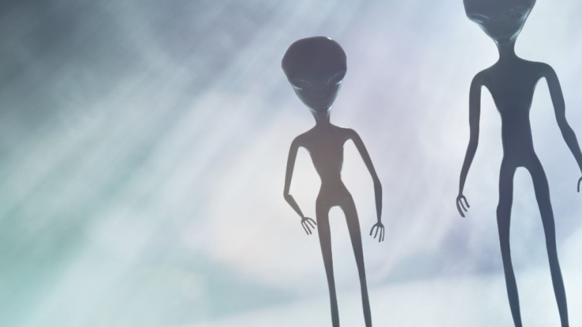 Ist in DIESEM Video ein Alien zu sehen? (Foto)