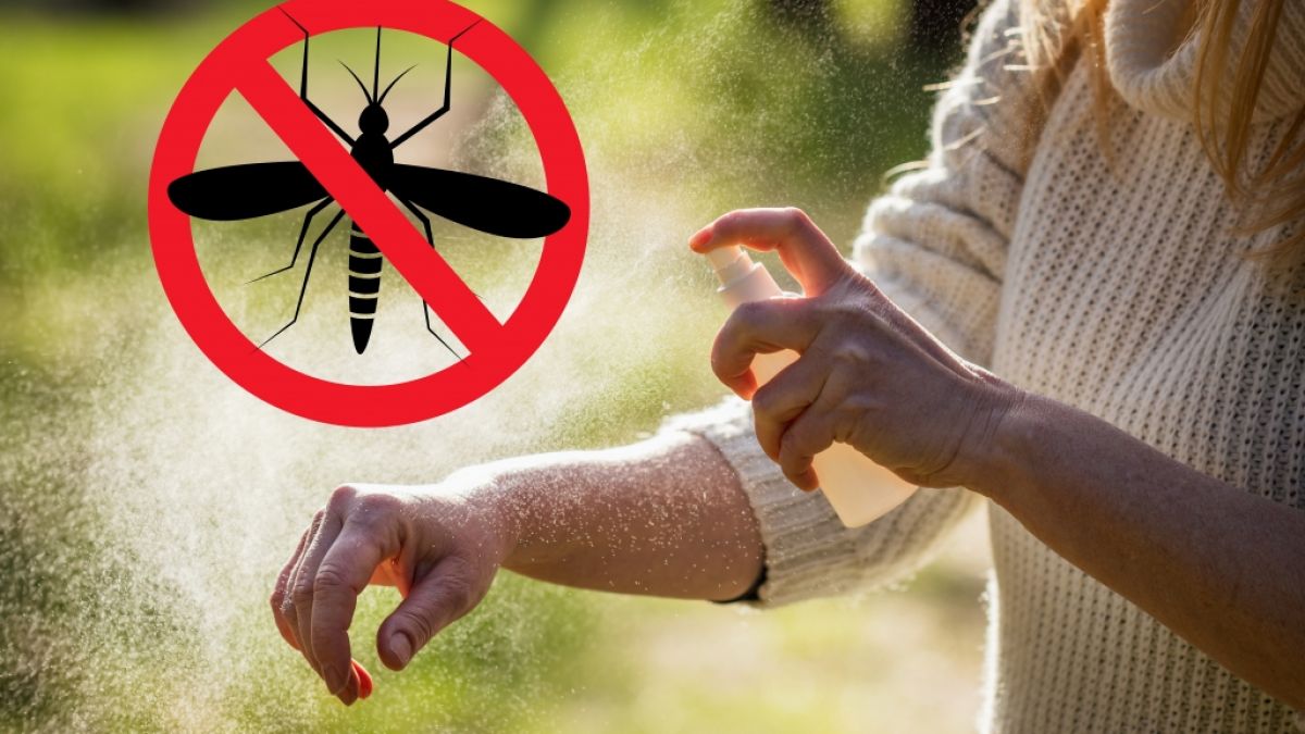 #Mückenspray selbst zeugen: Mit DIESEM einfachen Rezept halten Sie die Plagegeister weitab