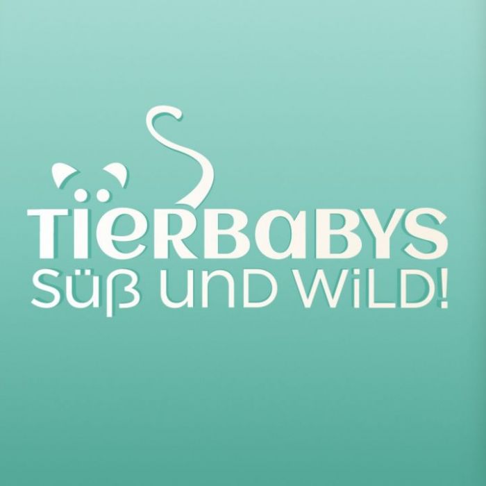 Wiederholung der Tierreihe im TV und online Wiederholung der Tierreihe im TV und online (Foto)
