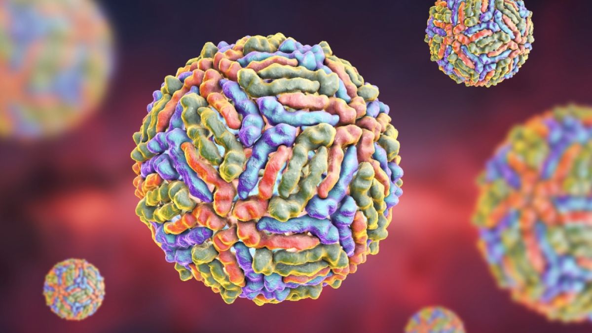 Das West-Nil-Virus ist in den USA nachgewiesen worden (Foto)