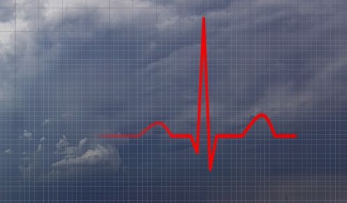 Ihr Bio- und Pollenflug-Wetter heute.