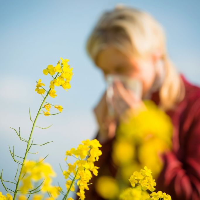 Belastung durch Pollen und Wetterwechsel aktuell am 01.10.2023