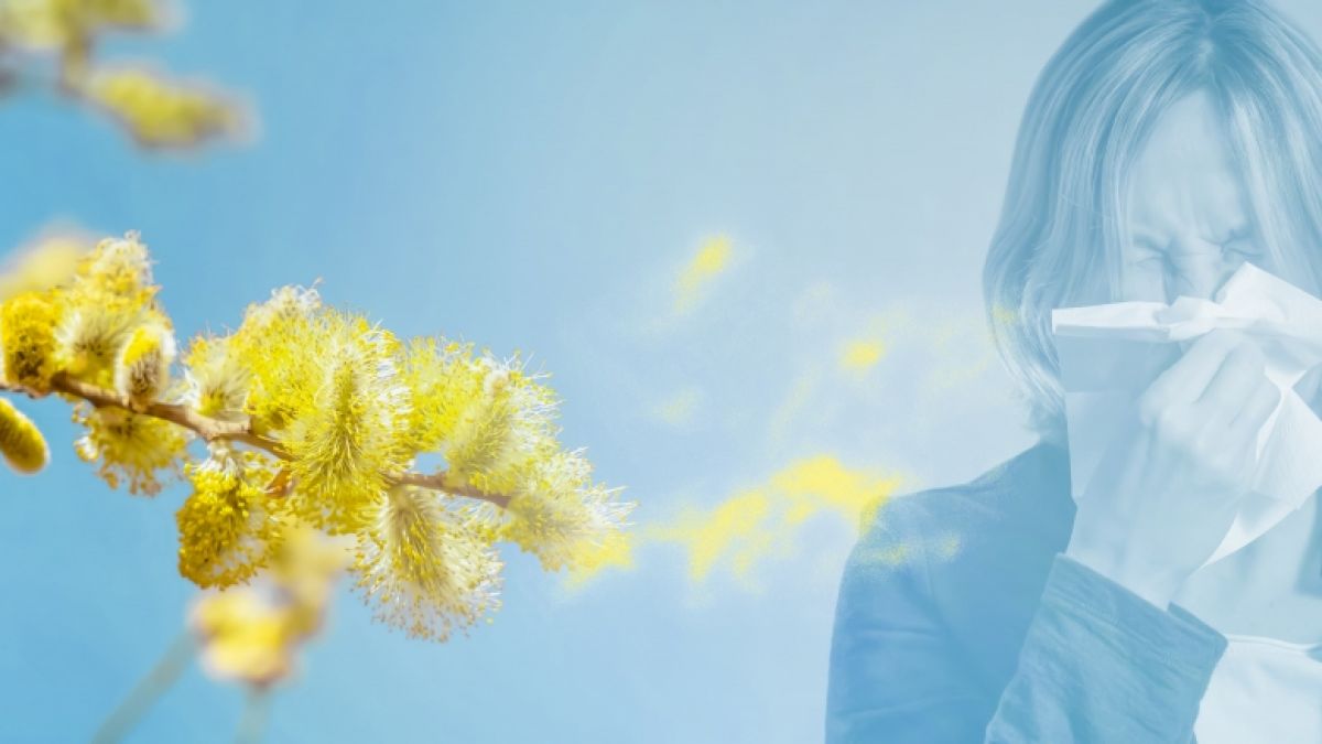 #Biowetter Witten heute: Pollenflug nun und witterungsbedingter Macht hinauf Ihr Wohlfühlen
