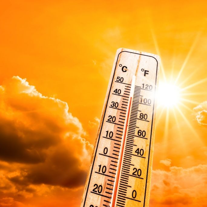 Bis zu 40 Grad! Hitzewelle erfasst Deutschland