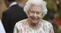 Die britische Königin Elizabeth II. freut sich aktuell über tierisch süßen Nachwuchs in ihrem Palast.
