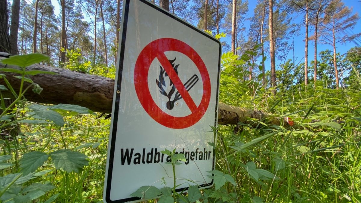Die Waldbrandgefahr nimmt aktuell in vielen Teilen Deutschland zu. (Foto)