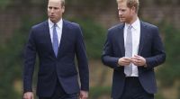 Prinz William und Prinz Harry kommen zur Enthüllung einer Statue ihrer Mutter Prinzessin Diana.