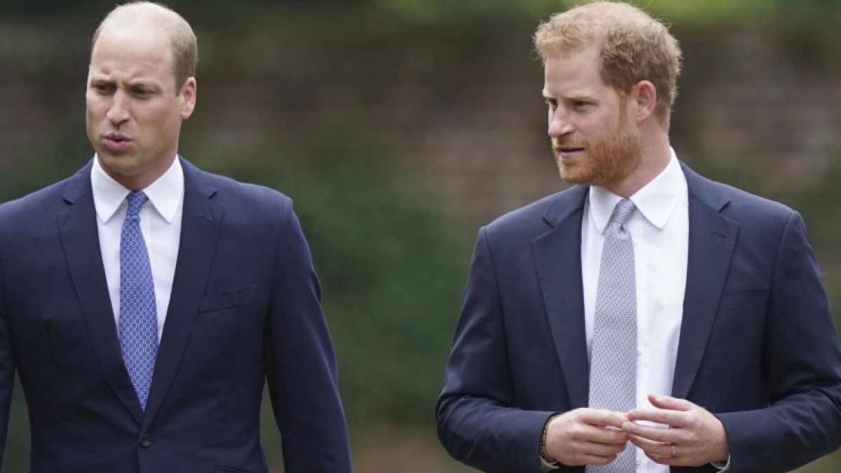Wollte Prinz William Geschichten über Prinz Harrys Gesundheit veröffentlichen lassen? (Foto)