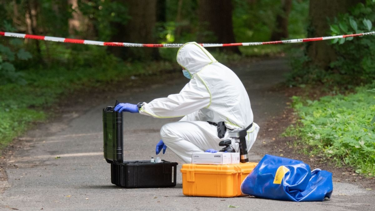 Im Stadtwald Eilenriede in Hannover ist die Leiche eines stadtbekannten Obdachlosen entdeckt worden - der Mann wurde offenbar mit Messerstichen getötet. (Foto)