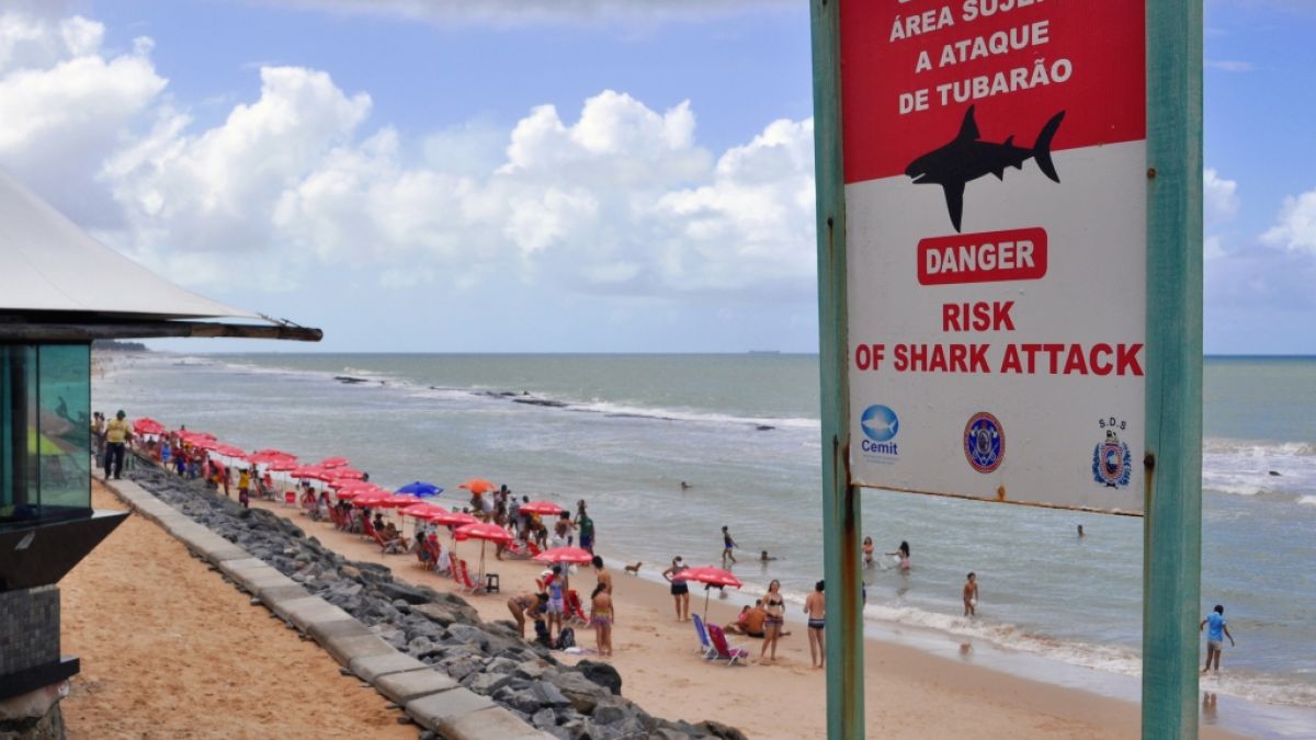 Am Piedade-Strand in Brasilien ist ein Mann im flachen Wasser von einem Hai angegriffen und tödlich verletzt worden (Symbolbild). (Foto)