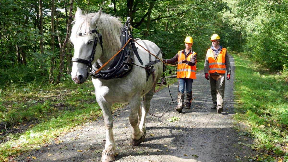 Judith Rakers: Abenteuer Pferd bei 3sat (Foto)