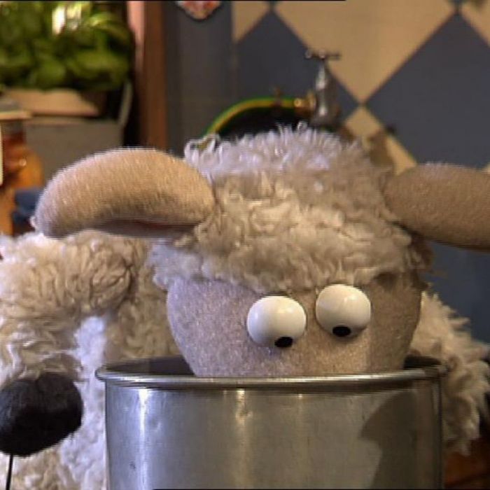 Wiederholung von Episode 25, Staffel 1 online und im TV Wiederholung von Episode 25, Staffel 1 online und im TV (Foto)