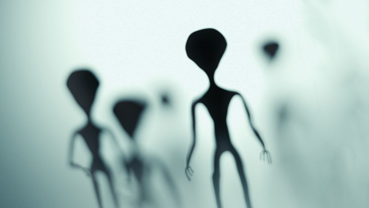 Ein Zeitreisender auf TikTok kündigte die Aliens im kommenden Jahr an. (Foto)