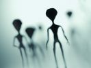 Ein Zeitreisender auf TikTok kündigte die Aliens im kommenden Jahr an. (Foto)