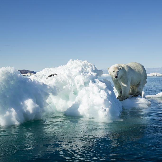 Arktisches Meereis auf Rekordtief! Dramatische Folgen für Europa