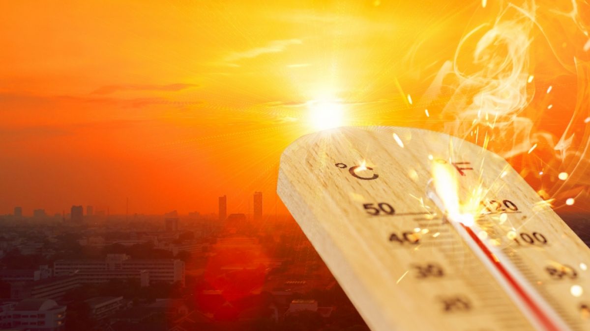Die Nachrichten des Tages bei news.de. Gefährliche Gluthitze: In Teilen Europas klettert das Thermometer auf bis zu 50 Grad Celsius.  (Foto)