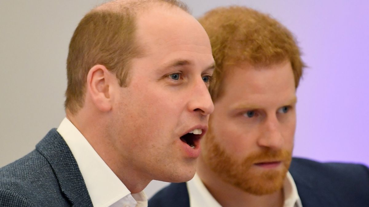 Angesichts der jüngsten Royals-News könnte man durchaus Bauklötze staunen - ganz so wie Prinz William und Prinz Harry auf diesem Foto. (Foto)