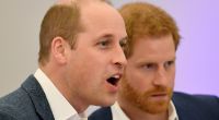 Angesichts der jüngsten Royals-News könnte man durchaus Bauklötze staunen - ganz so wie Prinz William und Prinz Harry auf diesem Foto.