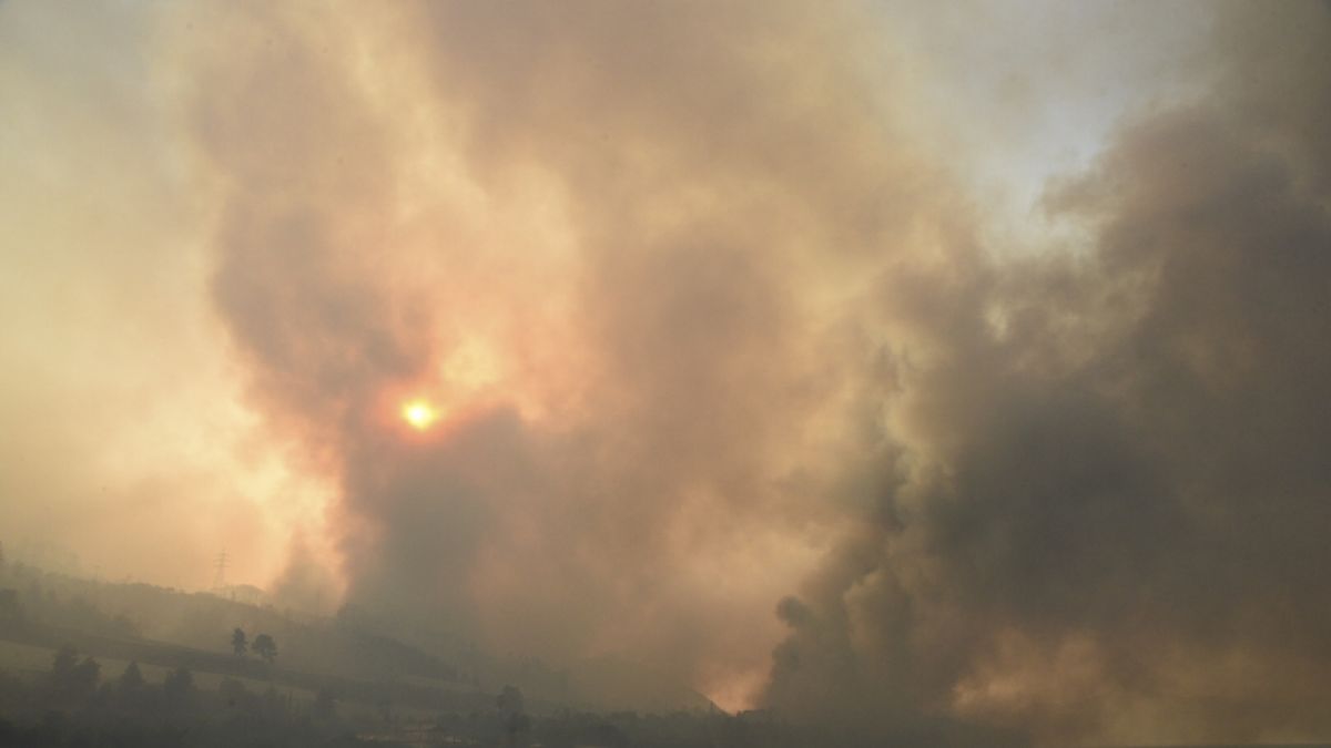 Durch die anhaltende Trockenheit können sich Waldbrände massiv ausbreiten. (Foto)