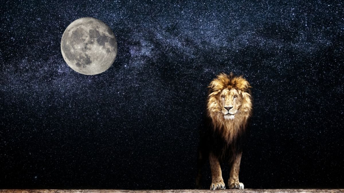 Am 8. August steht der Neumond im feurigen Löwen. (Foto)