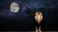 Am 8. August steht der Neumond im feurigen Löwen.