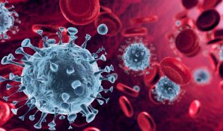 Coronavirus-News