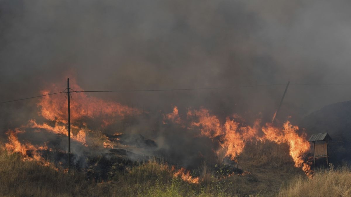 Flammen breiten sich in der Gemeinde Blufi aus. Sizilien, Sardinien, Kalabrien und auch Mittelitalien wurden von Waldbränden schwer getroffen. (Foto)