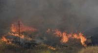 Flammen breiten sich in der Gemeinde Blufi aus. Sizilien, Sardinien, Kalabrien und auch Mittelitalien wurden von Waldbränden schwer getroffen.