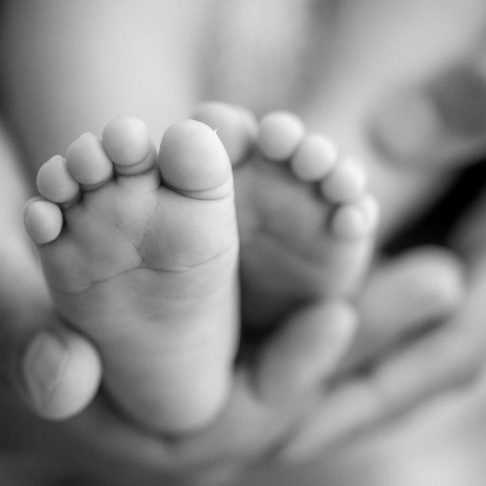 Baby (9 Monate) stirbt nach Kammerjägereinsatz