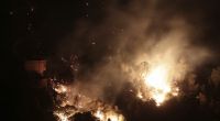 Während in Algerien eine Feuerwalze Wälder niederbrennt, wurde ein Mann von einem Mob lebendig verbrannt. (Symbolfoto)