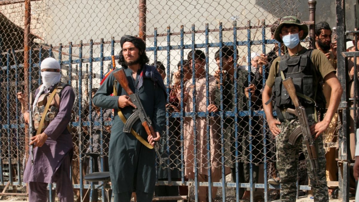 Die Taliban verbreiten in Afghanistan Angst und Schrecken. Einer Personengruppe droht nun die systematische Ausrottung. (Foto)