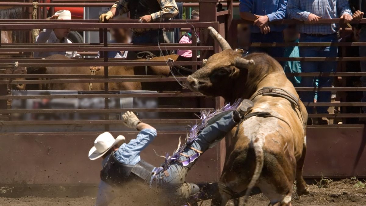 Amadeu Campos Silva wurde von einem Bullen totgetrampelt. (Foto)