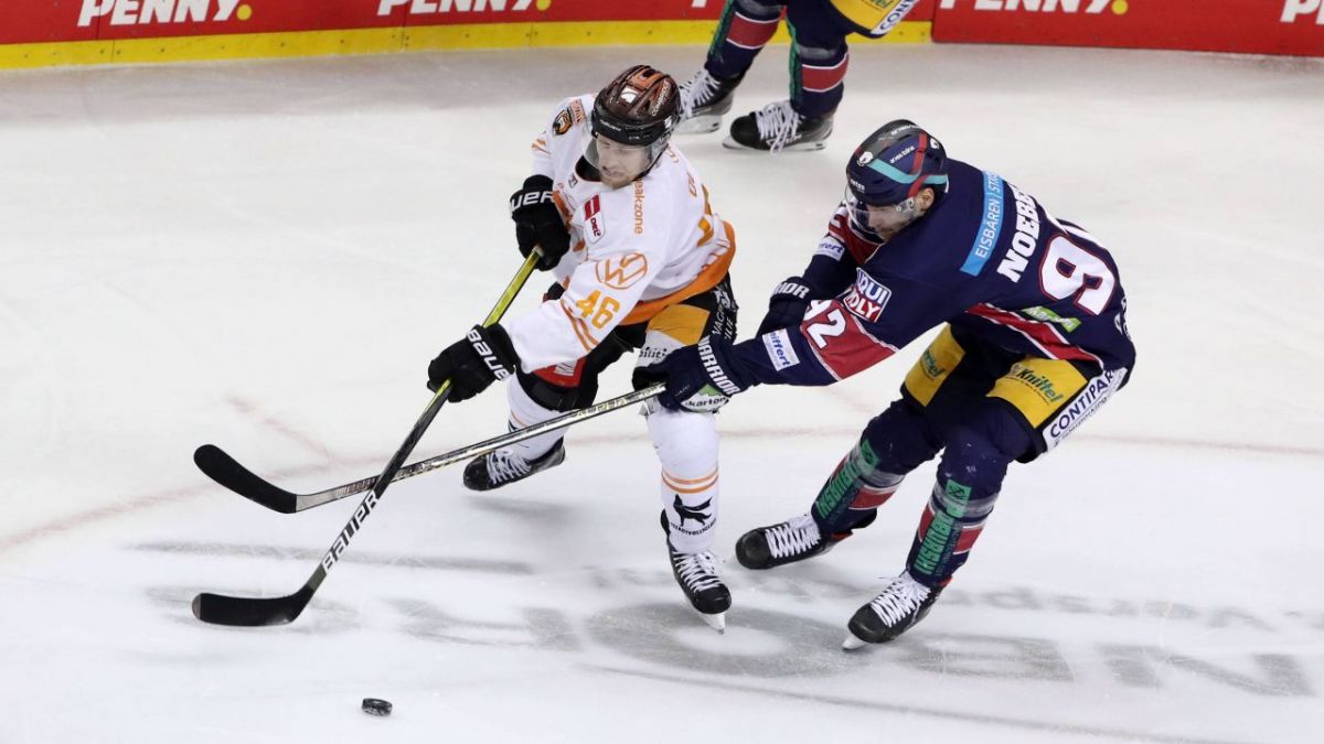 Blick sport eishockey