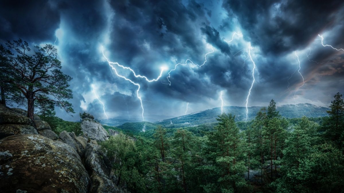 Ein Blitzeinschlag soll die Familie während ihrer Wanderung im Sierra National Forest ausgelöscht haben. (Foto)