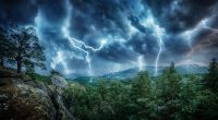 Ein Blitzeinschlag soll die Familie während ihrer Wanderung im Sierra National Forest ausgelöscht haben.