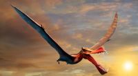 Das Fossil eines Flugdrachen-Dinosauriers wurde jetzt in Chile gefunden.