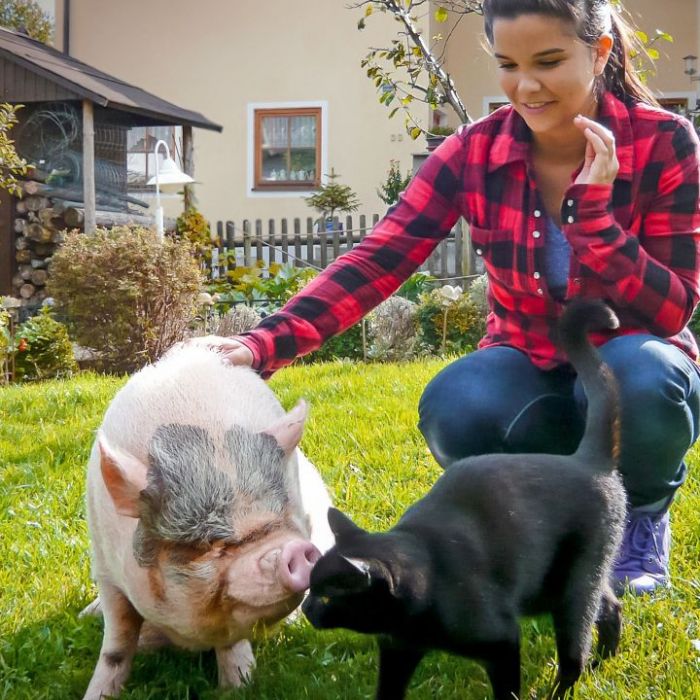 Wiederholung der Tierreihe online und im TV Wiederholung der Tierreihe online und im TV (Foto)