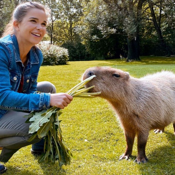Wiederholung der Tierreportage online und im TV Wiederholung der Tierreportage online und im TV (Foto)