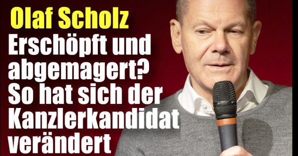 olaf scholz erschopft und abgemagert so sehr hat sich der kanzlerkandidat verandert news de
