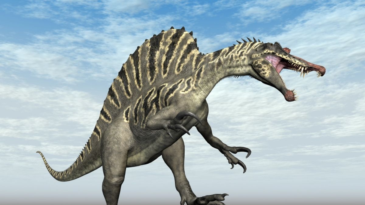 In England fanden Paläontologen zwei neue Dinosaurierarten. (Foto)