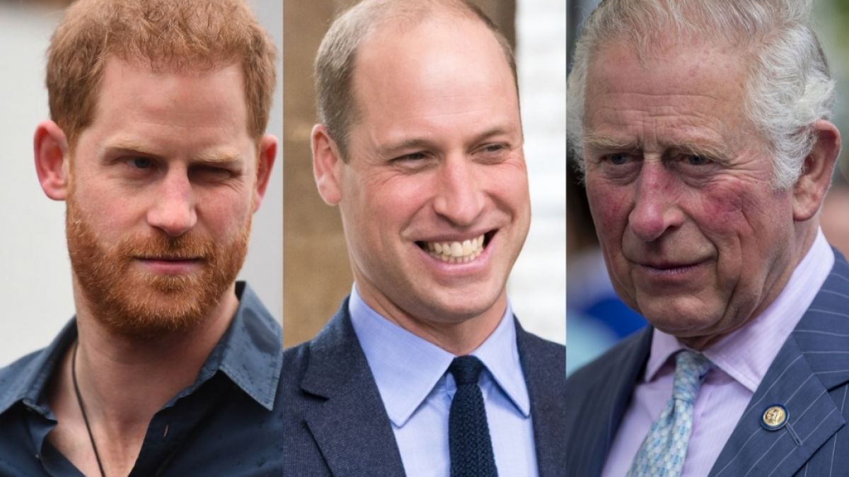 Die Royals um Prinz Harry, Prinz William und Prinz Charles sorgten in dieser Woche für turbulente News am laufenden Band. (Foto)
