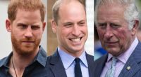 Die Royals um Prinz Harry, Prinz William und Prinz Charles sorgten in dieser Woche für turbulente News am laufenden Band.