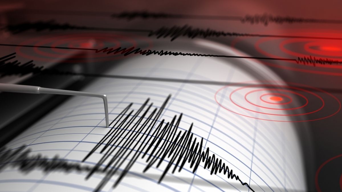 Ein Erdbeben erschütterte den Südpazifik. (Foto)