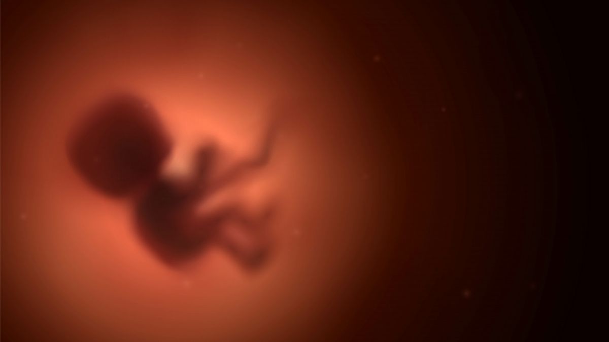 Eine Frau erlitt fünf Fehlgeburten, weil Killerzellen die Embryos angriffen. (Foto)