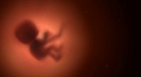 Eine Frau erlitt fünf Fehlgeburten, weil Killerzellen die Embryos angriffen.