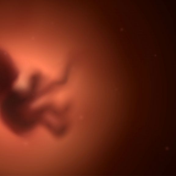 Killerzellen töten ungeborene Babys - Frau verliert 5 Embryos